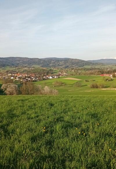 Blick vor Einfürst nach Schwarzach, dahinter Schopf und Hirschenstein