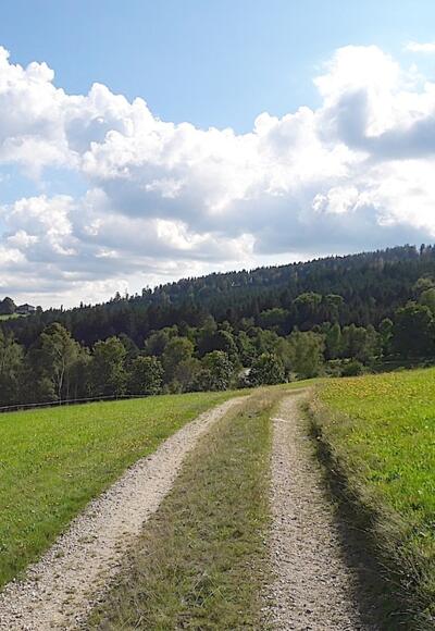 Blick nach Kalteck