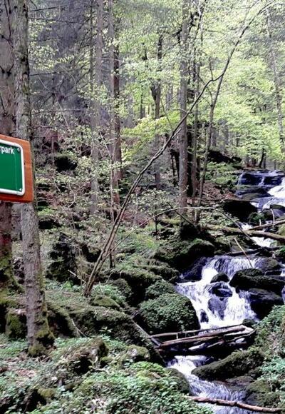 Nagelsteiner Wasserfälle