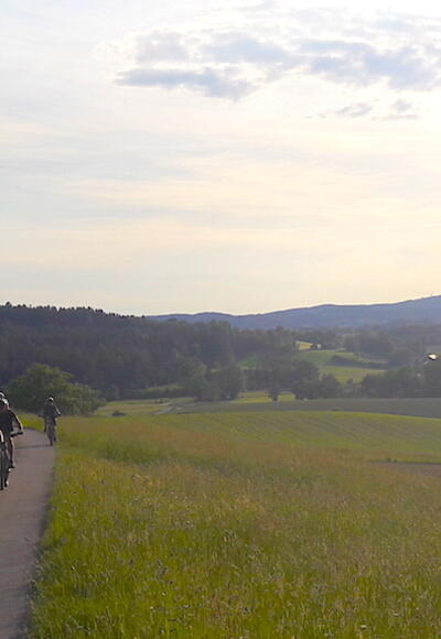 Zwischen Höllgrub und Höllberg mit Blick Richtung Haselbach
