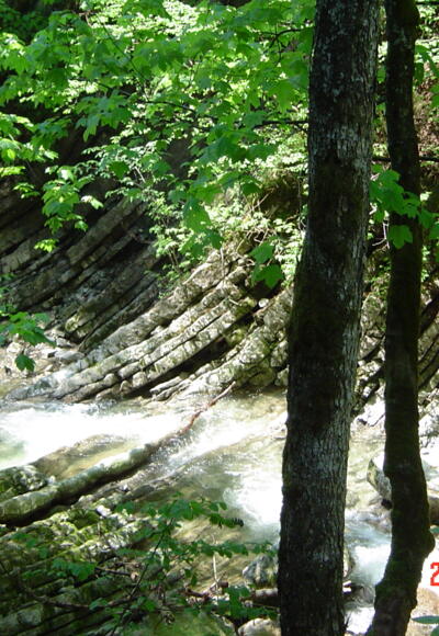 Glasenbachklamm