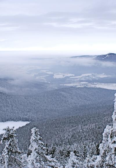 Blick zum Kleinen Arbersee und Lamer Winkel mit Osser