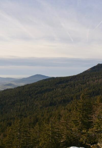 Lamer Winkl und Osser vom Lohberger Steindl