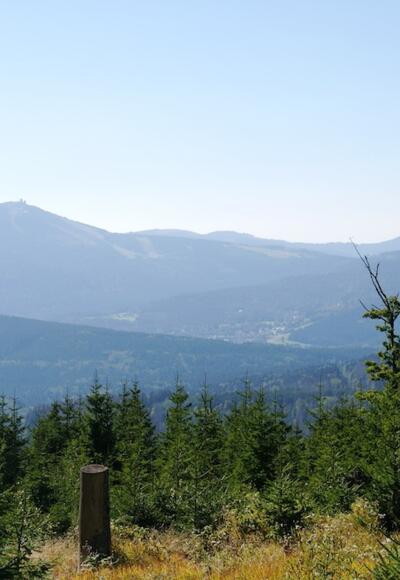 Blick vom Lackaberg-Sattel zum Großen Arber