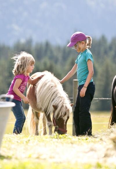 Ponys auf der Hefteralm