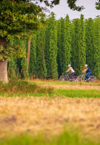 Rund um die Hallertau