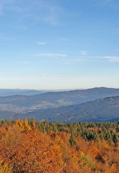 Fernsicht vom Hirschenstein zum Rachel