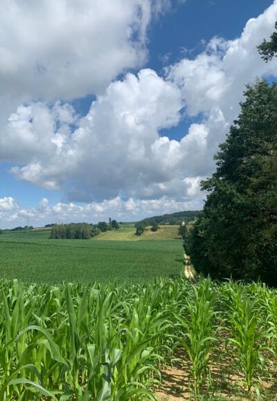 Mettenbacher Tal Rundweg