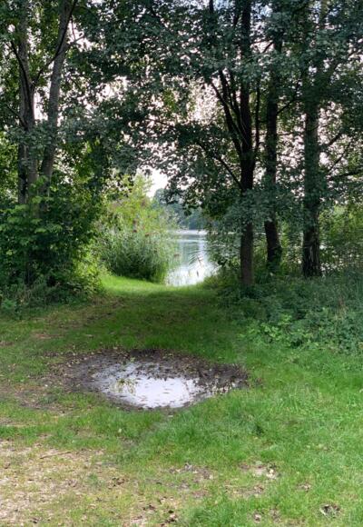 Weiher auf Höhe Feilenmoos.JPEG