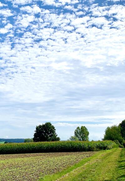 Rund um den Eichelberg