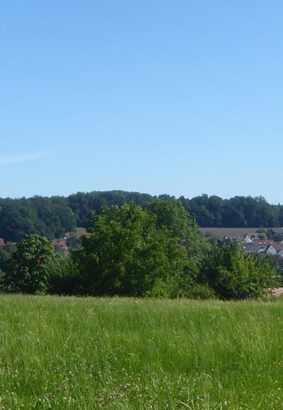 Panorama Standort.jpg
