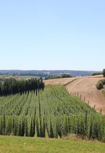 Panoweg Ost_3 ©Stadt Pfaffenhofen.JPG