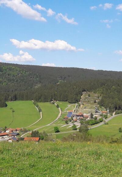 Blick nach Grün vor Maibrunn