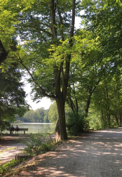 Hinterbrühler See