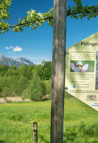 Der Pidinger Bienenweg
