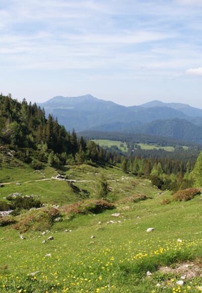 Blick zum Ende der Rundtour bzw. Weg von der Hemmersuppenalm