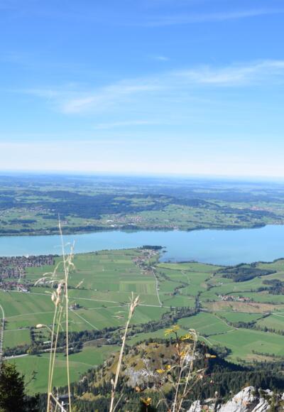 Ausblick vom Tegelberg auf den Forggensee und das Voralpenland