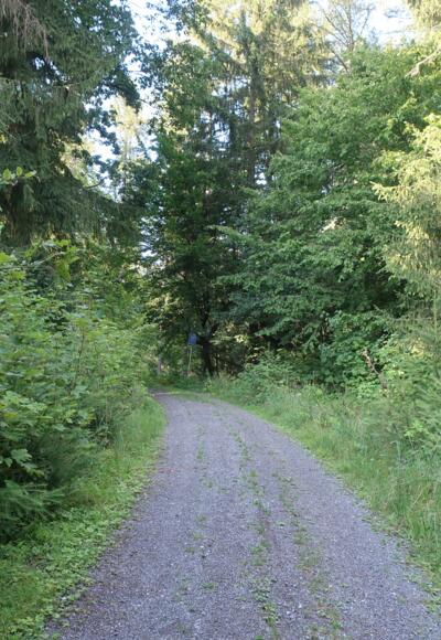 Wanderung um Rödental