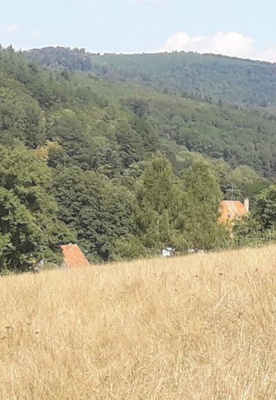 Blick auf Lichtenau