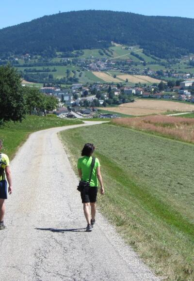 Wandern am Böhmerwaldblickweg