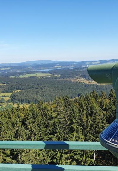 MoldaublickBlickZumMoldaustauseeSchoeneben_FerienregionBoehmerwaldFelhofer.jpg