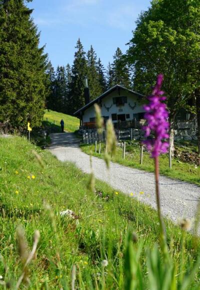 Schuhbräualm