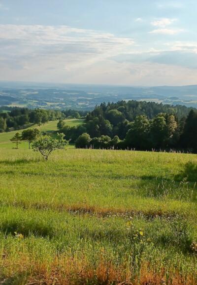Fernsicht bei Obernebling