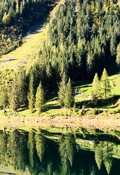 Vorderer Gosausee