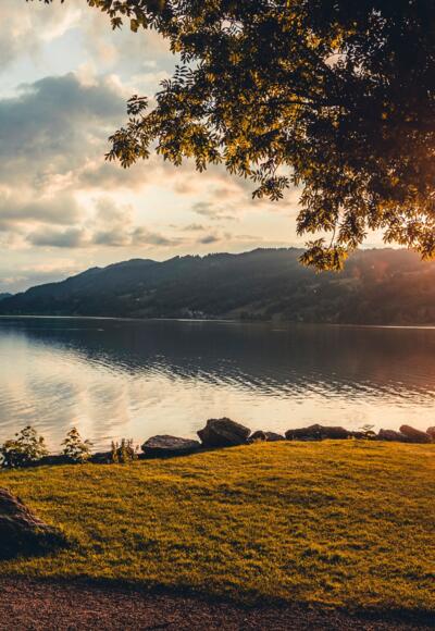 Abendstimmung am Großen Alpsee