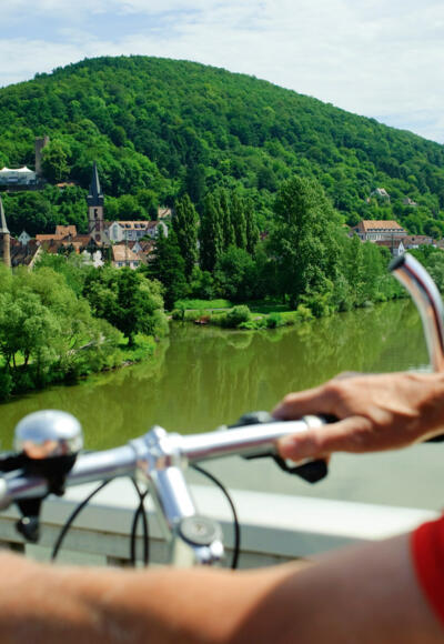 Blick auf Gemünden am Main im Spessart-Mainland