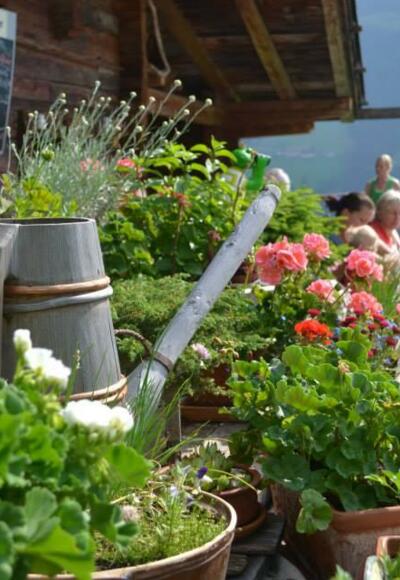 Böglalm Terrasse