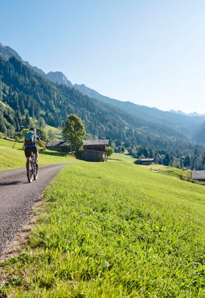 Auf der Forstraße Richtung Alpe Laguz