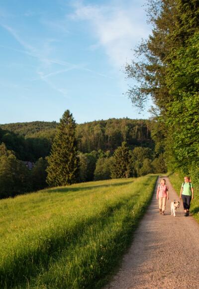 Wandern im RÄUBERLAND