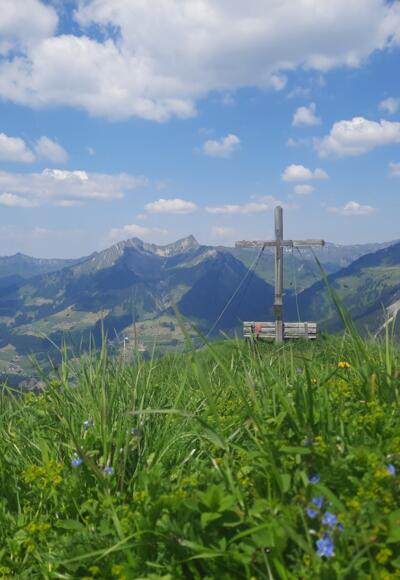 Am Gipfel der Wangspitze