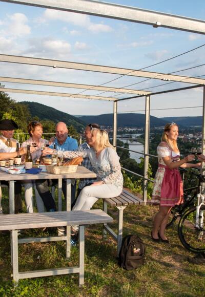 Picknick in den Weinbergen bei Erlenbach am Main