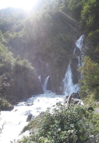Dachserfall