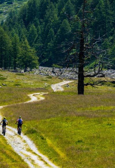 VTTistes sur la Trans-Bayerwald