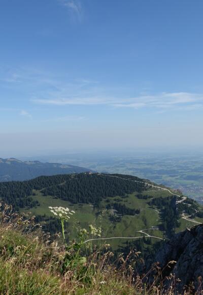 Blick vom Aggenstein auf den Breitenberg und das Voralpenland