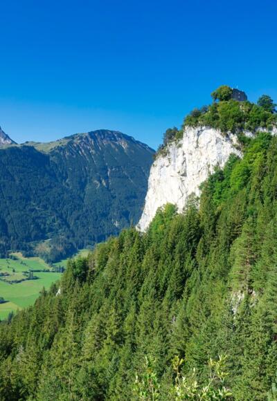 Blick vom Gedenkplatz auf die Burgruine Falkenstein