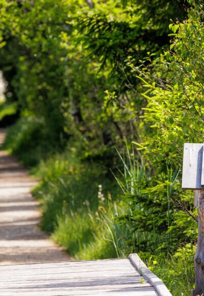 Rätselstationen am Moorerlebnisweg