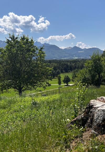 Aussicht vom Westerbuchberg