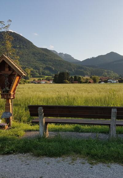 Feldkreuz am Rottauer Bienenweg