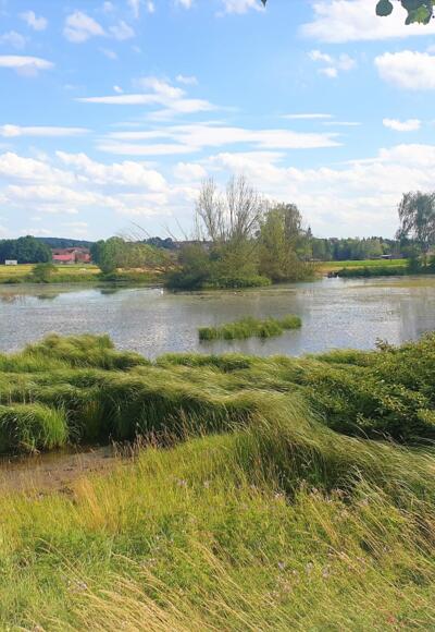 Riedgrabensee Großwenkheim