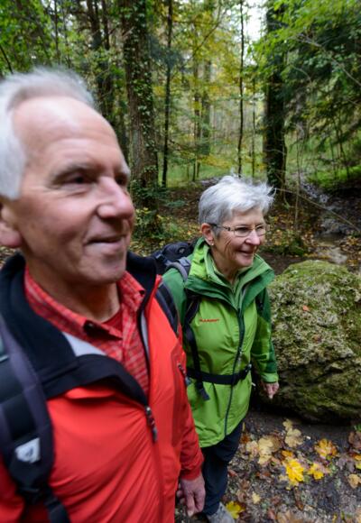 Wald-Wanderweg
