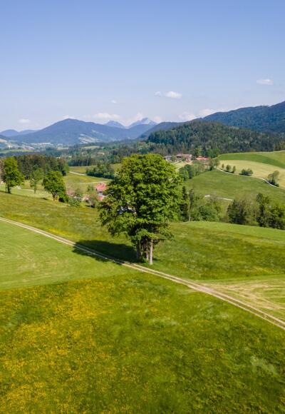 Blick Richtung Wendelstein