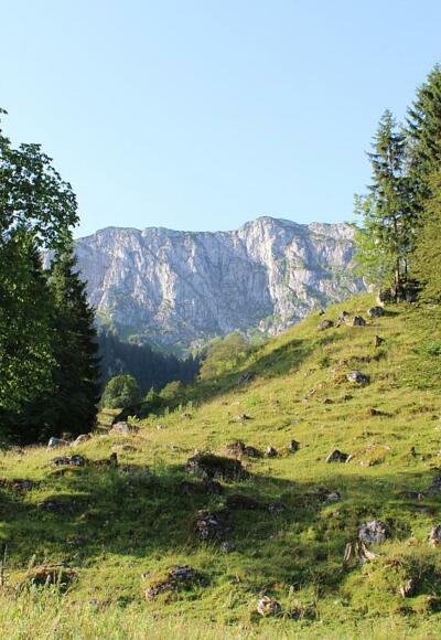 Am Eibelsfleck