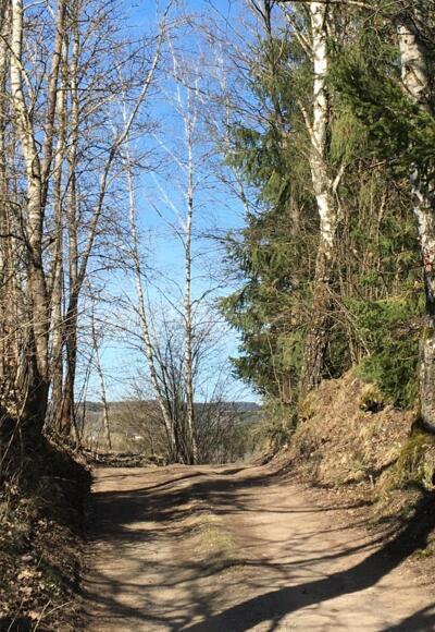 100 Mountainbike Runde Rainbach im Mühlkreis