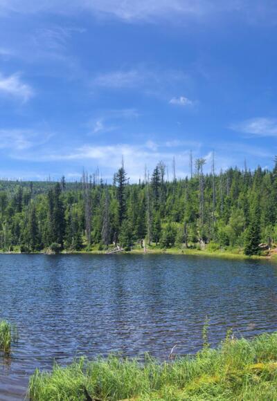 Lakasee