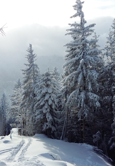 Am Gipfel des Zinkenkogels