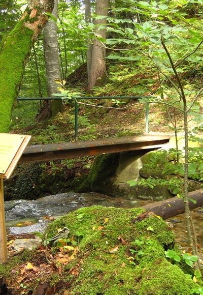 Themenweg - Mythenweg - Timberland Trail - Köhlerweg